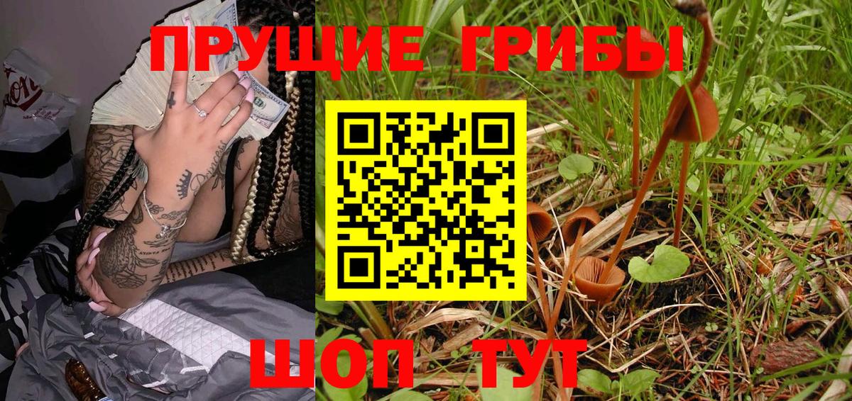 Галлюциногенные грибы GOLDEN TEACHER  Ликино-Дулёво 