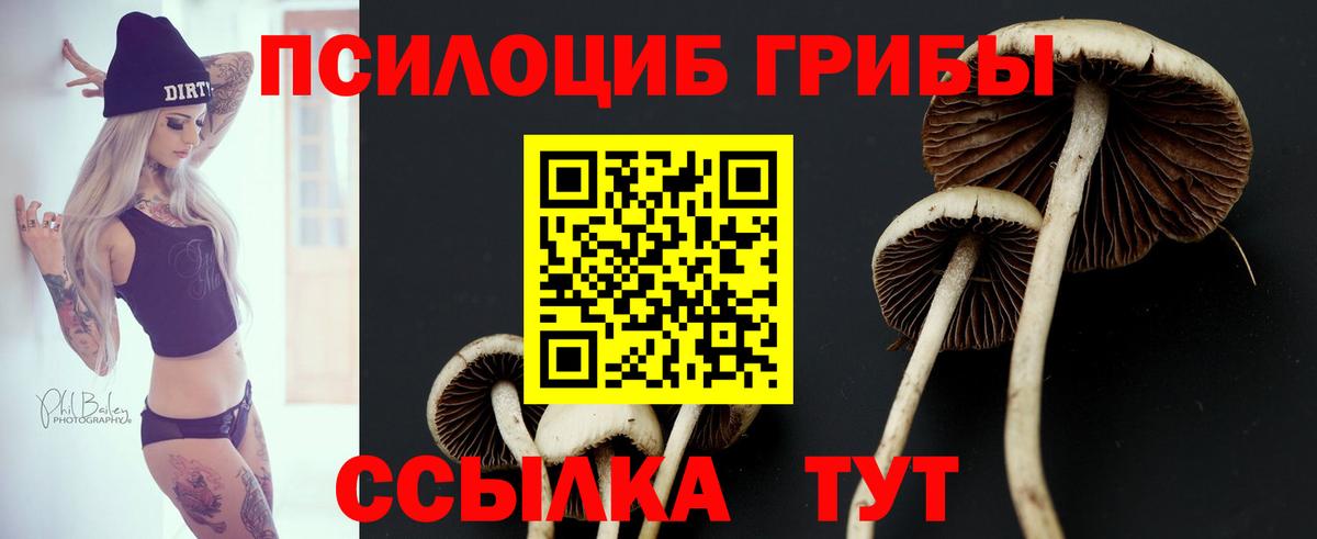 Псилоцибиновые грибы MAGIC MUSHROOMS  Вход с VPN  Ликино-Дулёво 