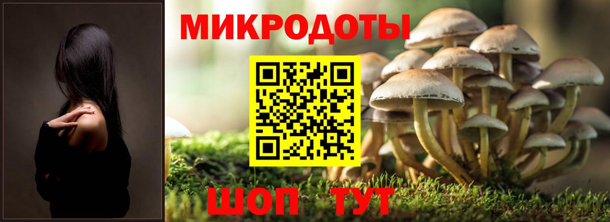 Галлюциногенные грибы мухоморы Ликино-Дулёво